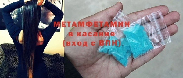 прущие грибы Волосово