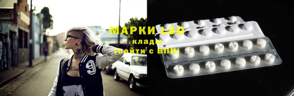 прущие грибы Волосово