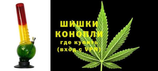 прущие грибы Волосово